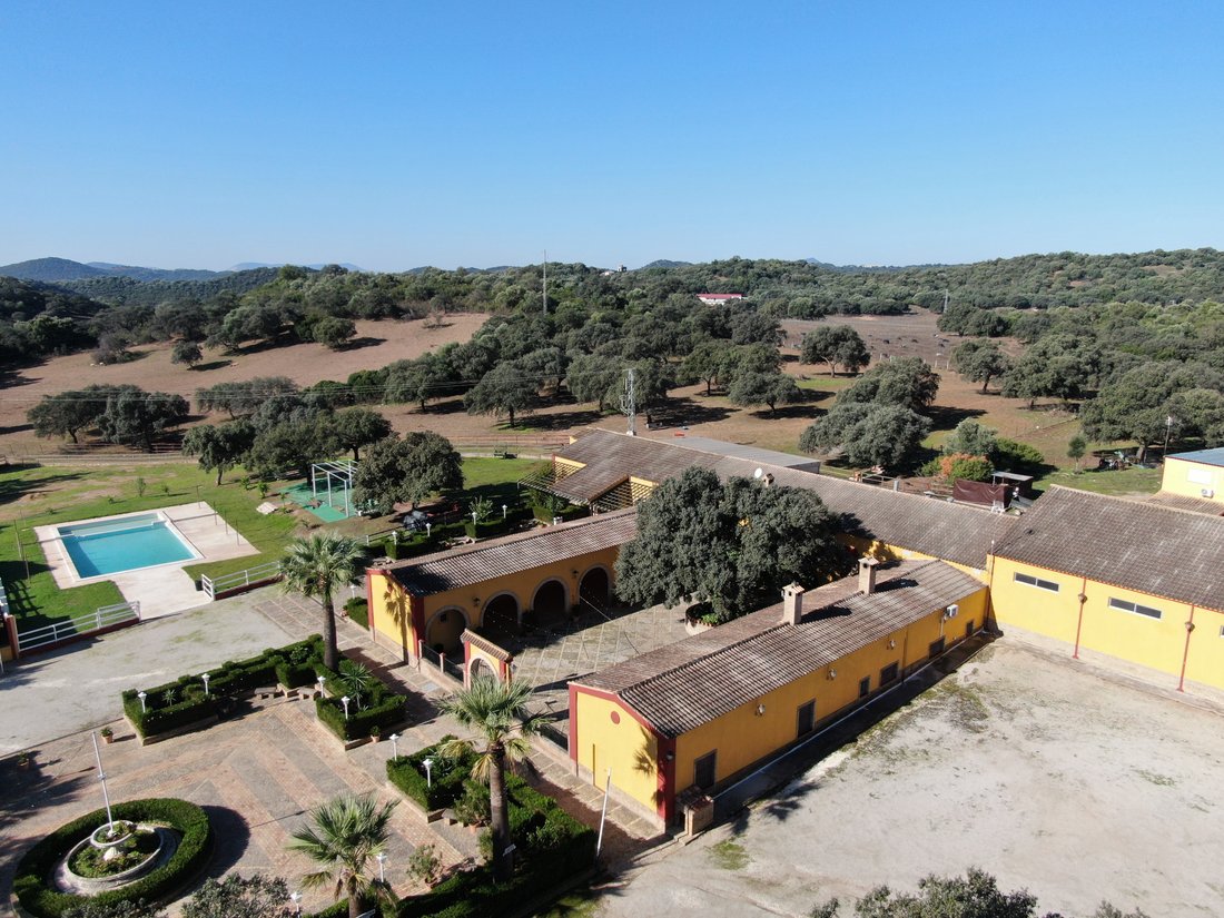Country House in Moron de la Frontera, Andalusia, Spain 4 - 15400219