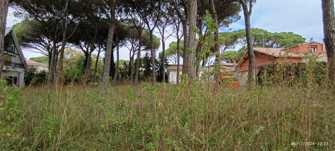 Villa in Vidreres, Catalonia, Spain 4 - 17269954