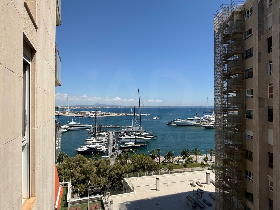 Apartment in Palma, Balearic Islands, Spain 4 - 18619120