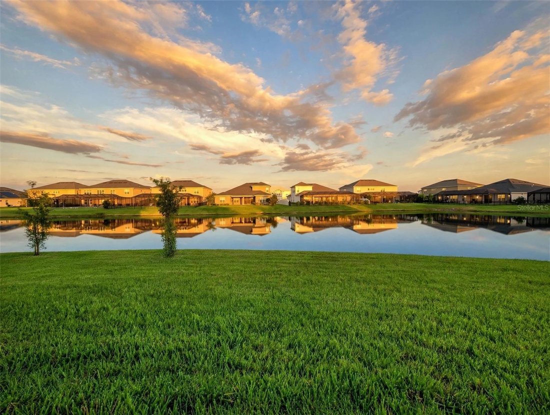 House in Wesley Chapel, Florida, United States 4 - 18601272