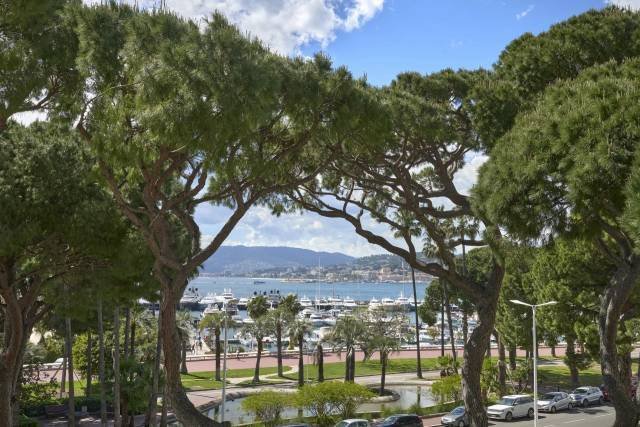 Apartment in Cannes, Provence-Alpes-Côte d'Azur, France 2 - 15502272
