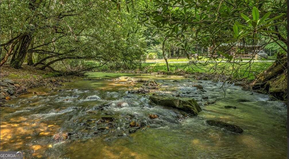 Cherry Log, Georgia, United States 4 - 18623517