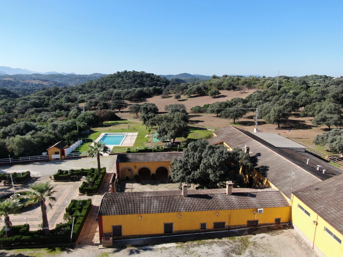 Country House in Moron de la Frontera, Andalusia, Spain 2 - 15400219