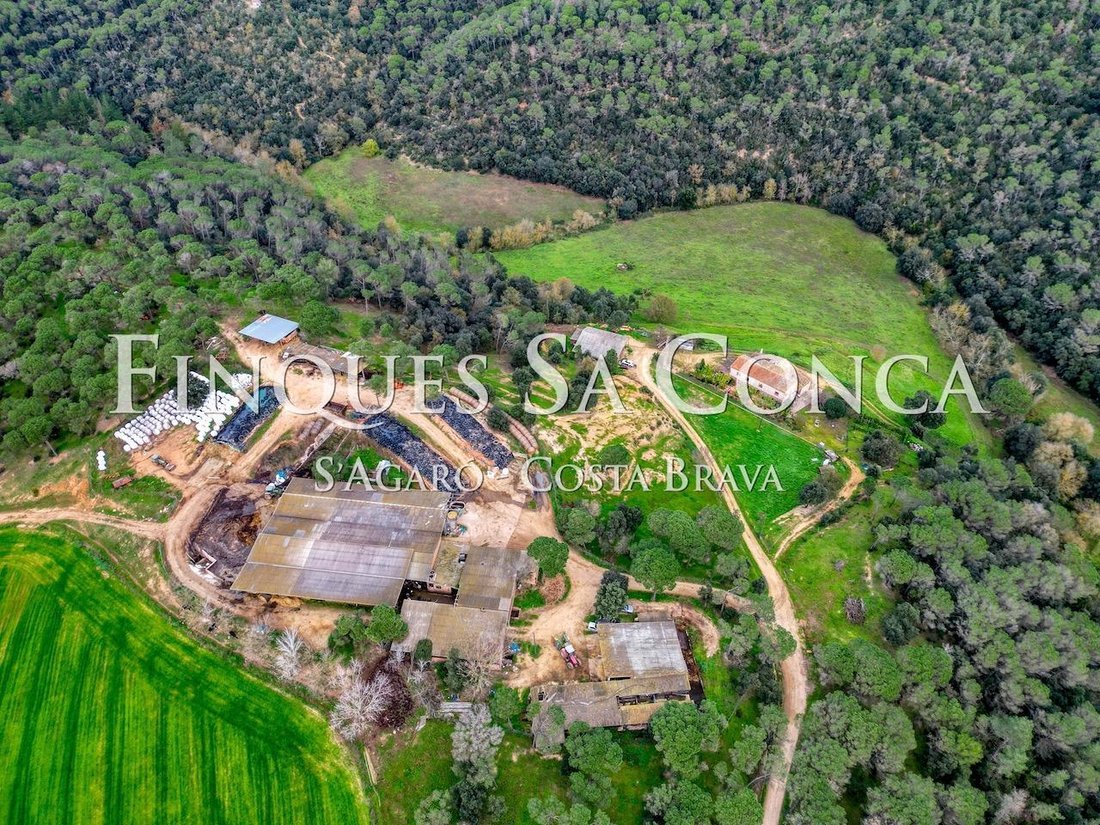 Finca in Spain 1 - 15942658