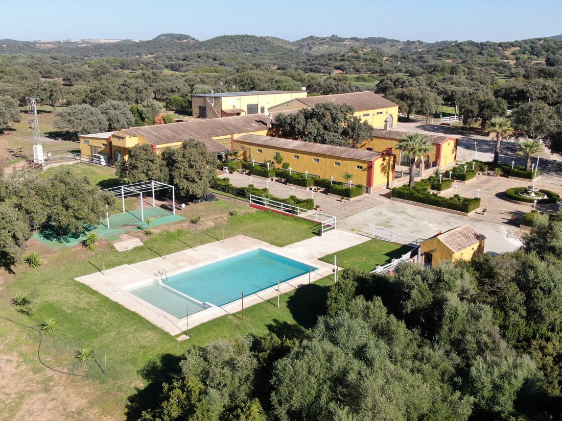 Country House in Moron de la Frontera, Andalusia, Spain 1 - 15400219