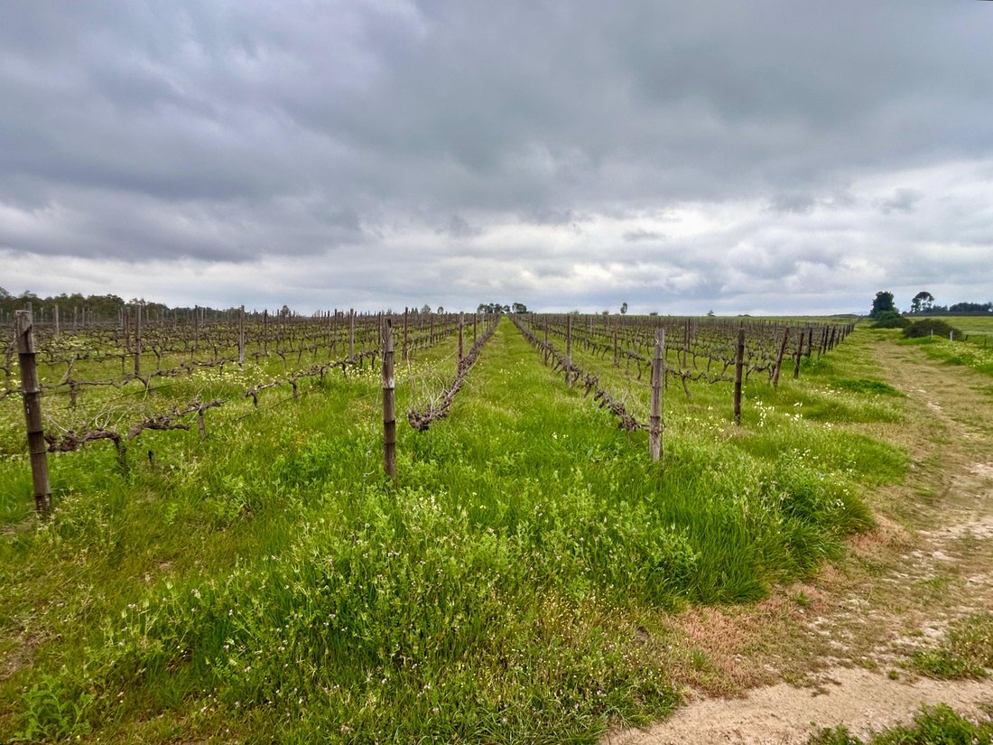 Farm Ranch in Southern Paarl, Western Cape, South Africa 4 - 18618026
