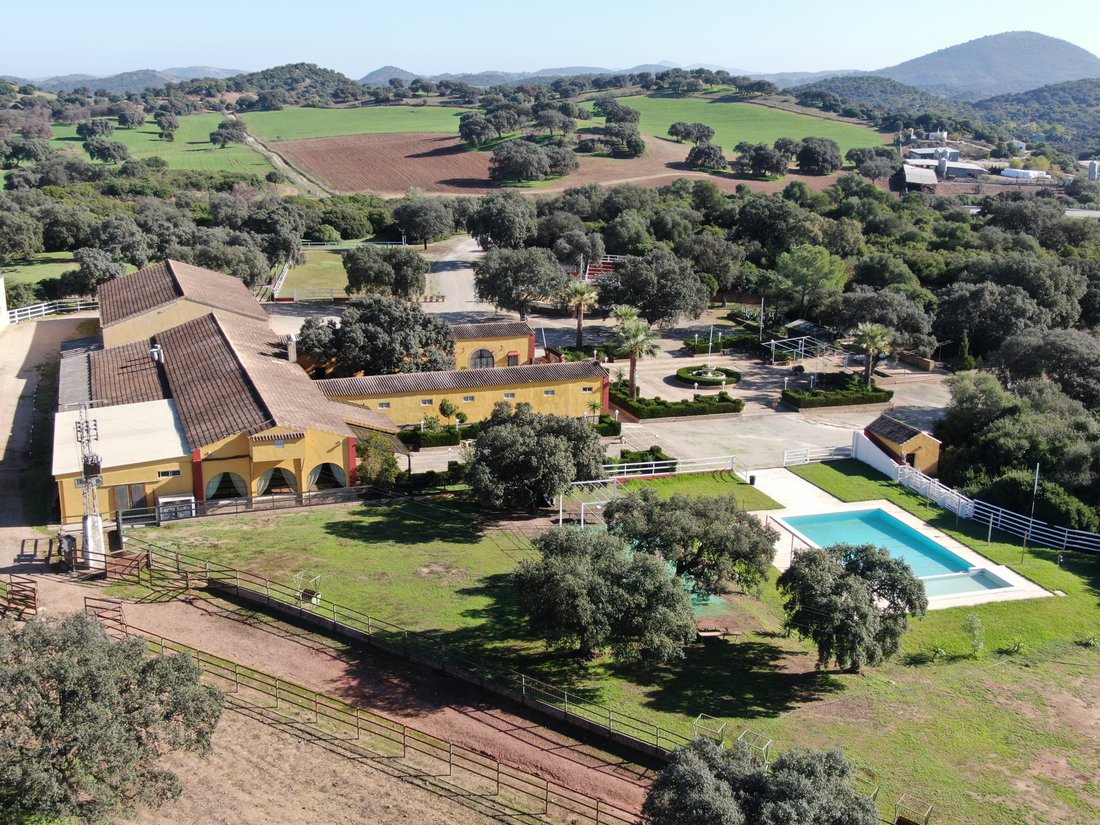 Country House in Moron de la Frontera, Andalusia, Spain 5 - 15400219