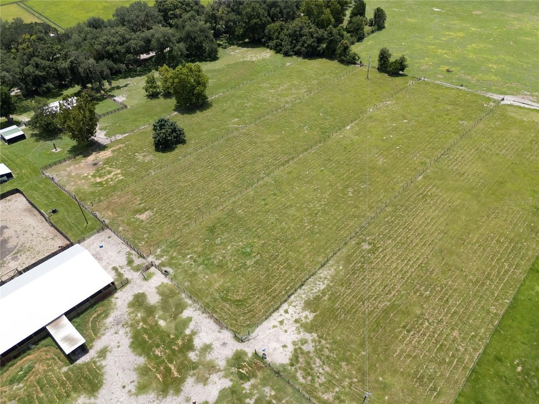 Farm Ranch in Williston, Florida, Vereinigte Staaten 4 - 17184434