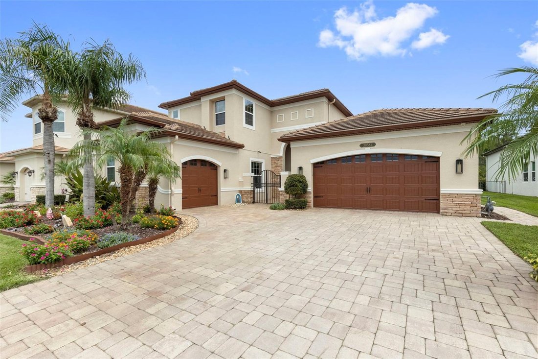 House in Zephyrhills, Florida, United States 1 - 18620206
