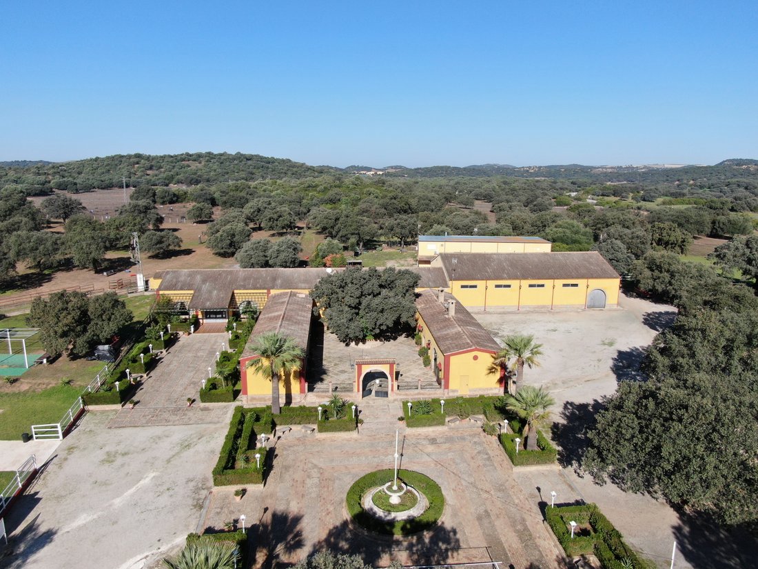 Country House in Moron de la Frontera, Andalusia, Spain 3 - 15400219