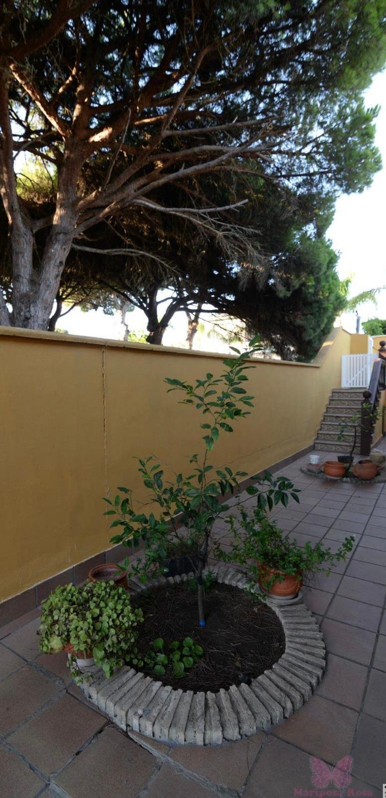 Chalet in Chiclana de la Frontera, Andalusia, Spain 4 - 16105091