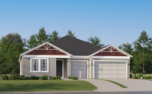 House in Land O' Lakes, Florida, United States 1