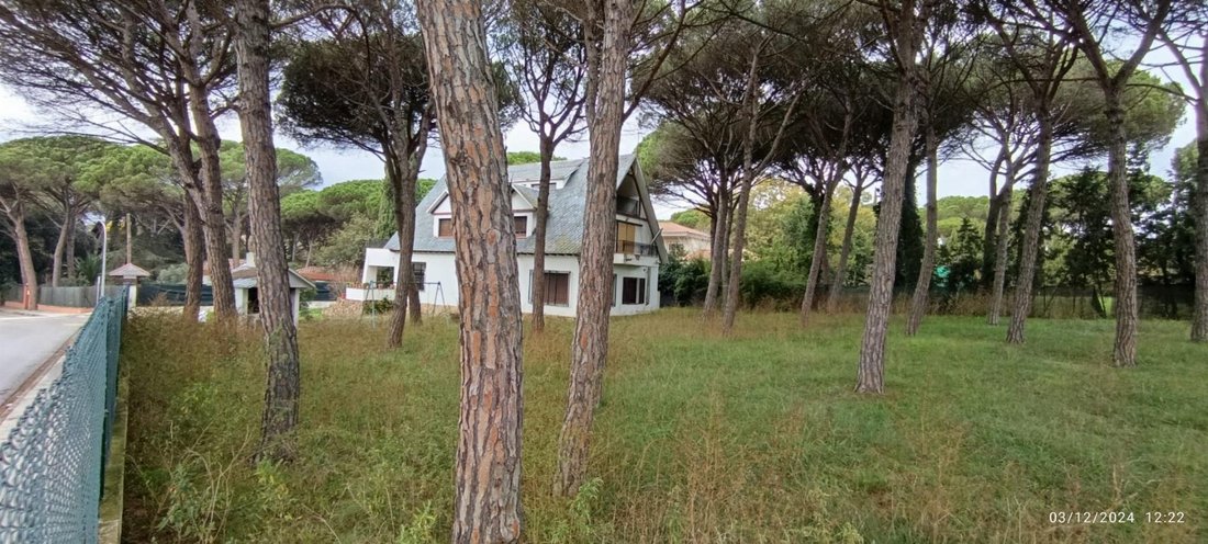 Villa in Vidreres, Catalonia, Spain 1 - 17269954
