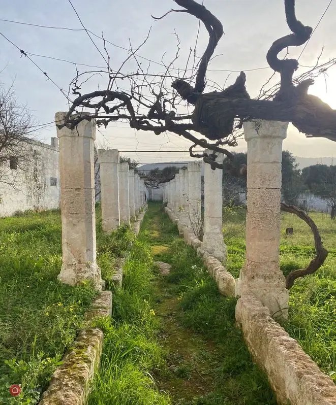 Estate in Selva di Fasano, Apulia, Italy 2 - 16917786