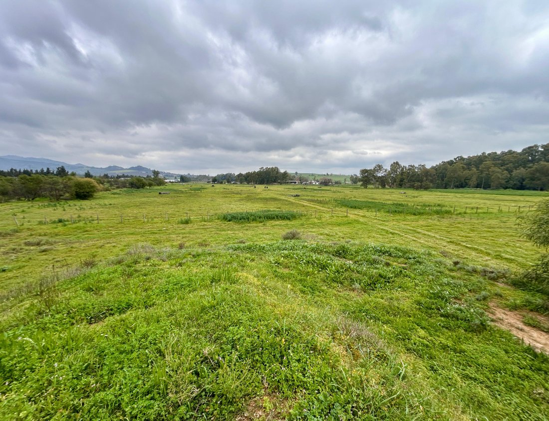 Farm Ranch in Southern Paarl, Western Cape, South Africa 3 - 18618026