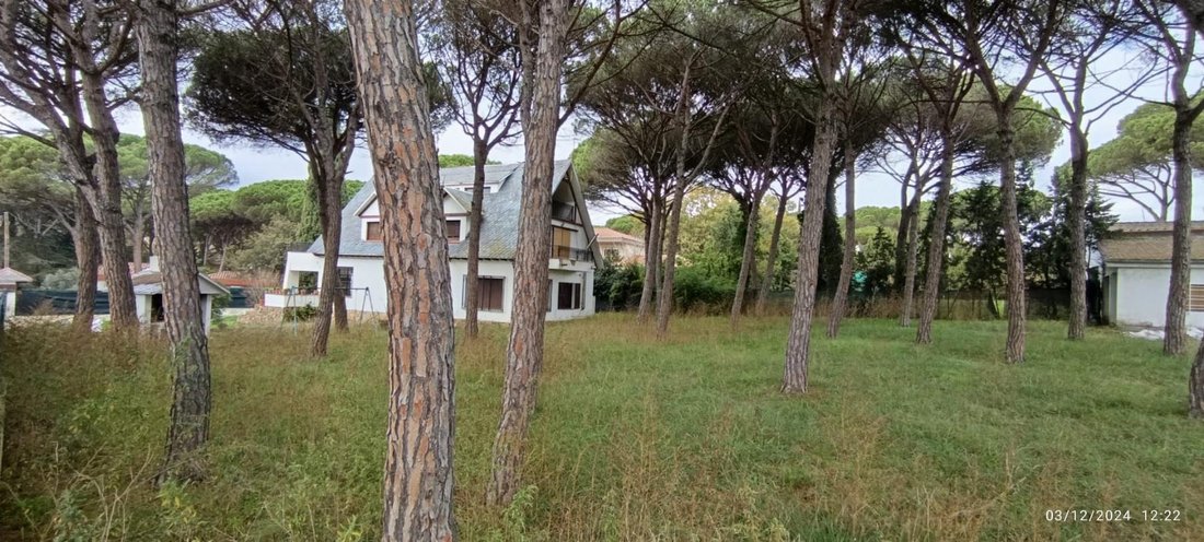 Villa in Vidreres, Catalonia, Spain 3 - 17269954