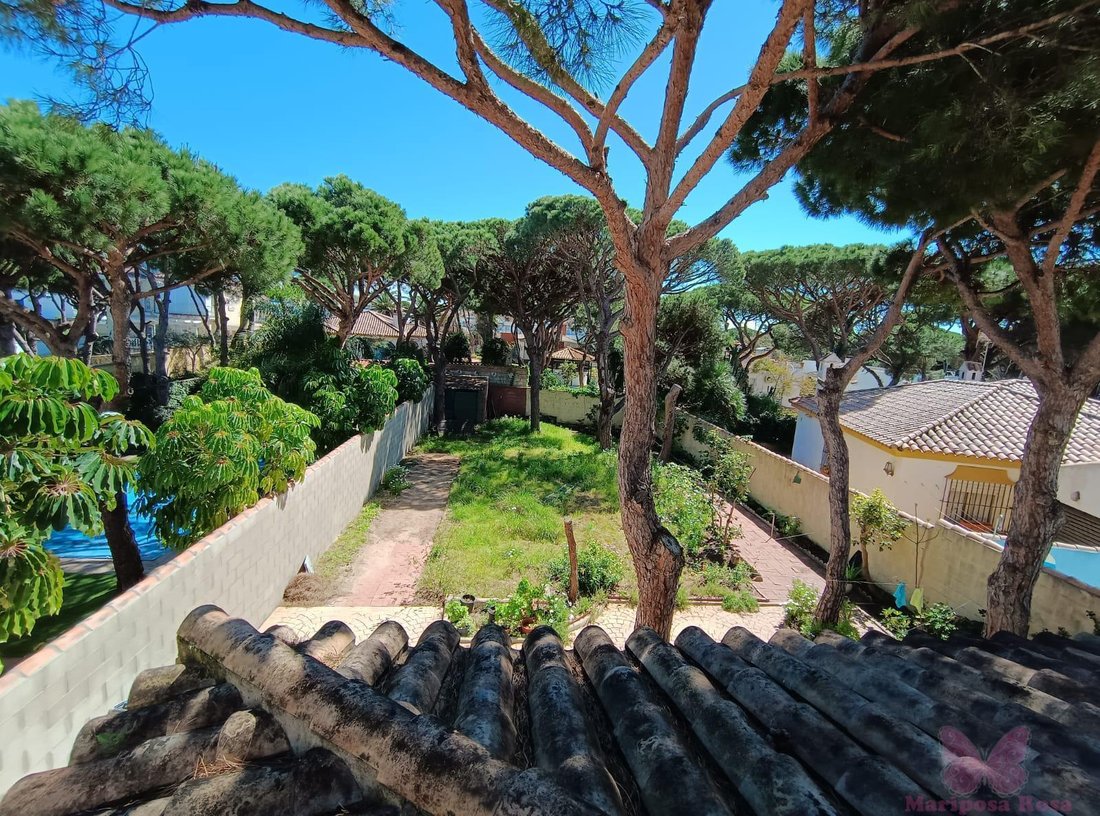 Chalet in Chiclana de la Frontera, Andalusia, Spain 2 - 15376970
