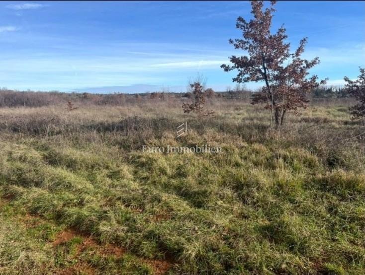 Land in Umag, Istria County, Croatia 1 - 18615949