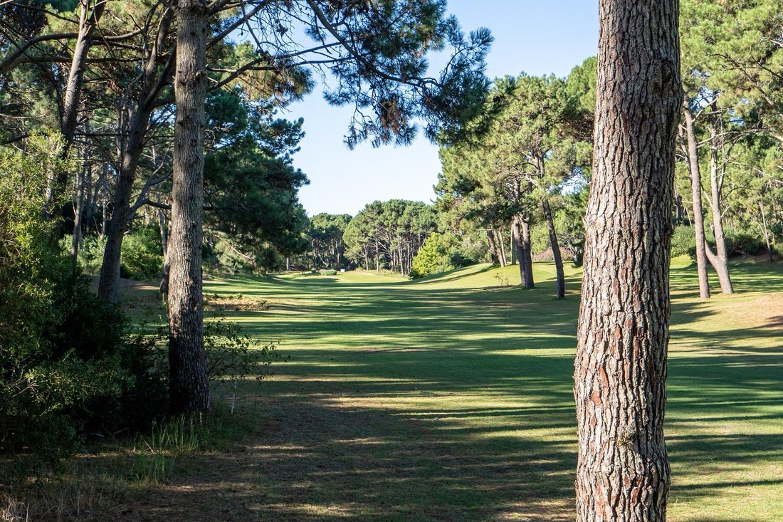 Land in Punta Ballena, Maldonado Department, Uruguay 5 - 18616949