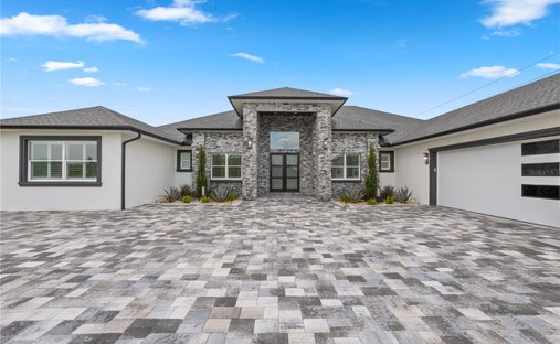 House in Eustis, Florida, United States 1