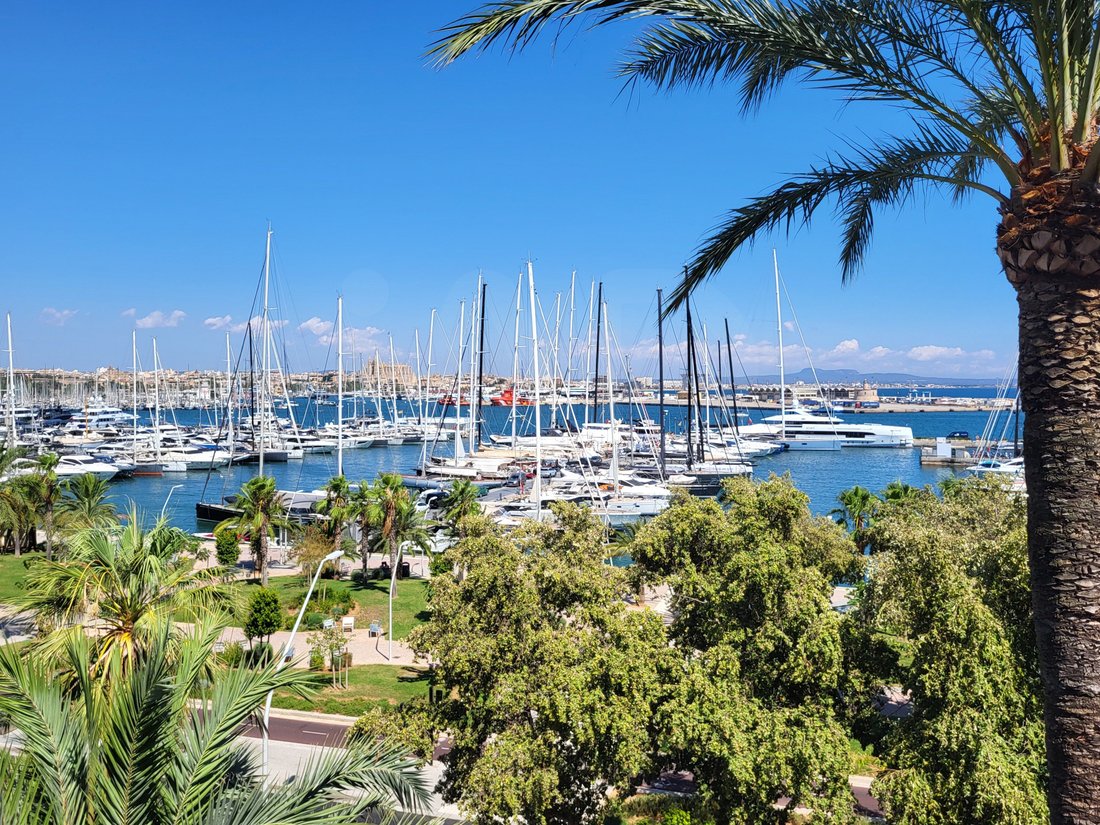 Wohnung in Palma, Balearische Inseln, Spanien 2 - 18619120