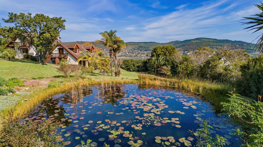 Knysna Central, Western Cape, South Africa 5 - 18618019