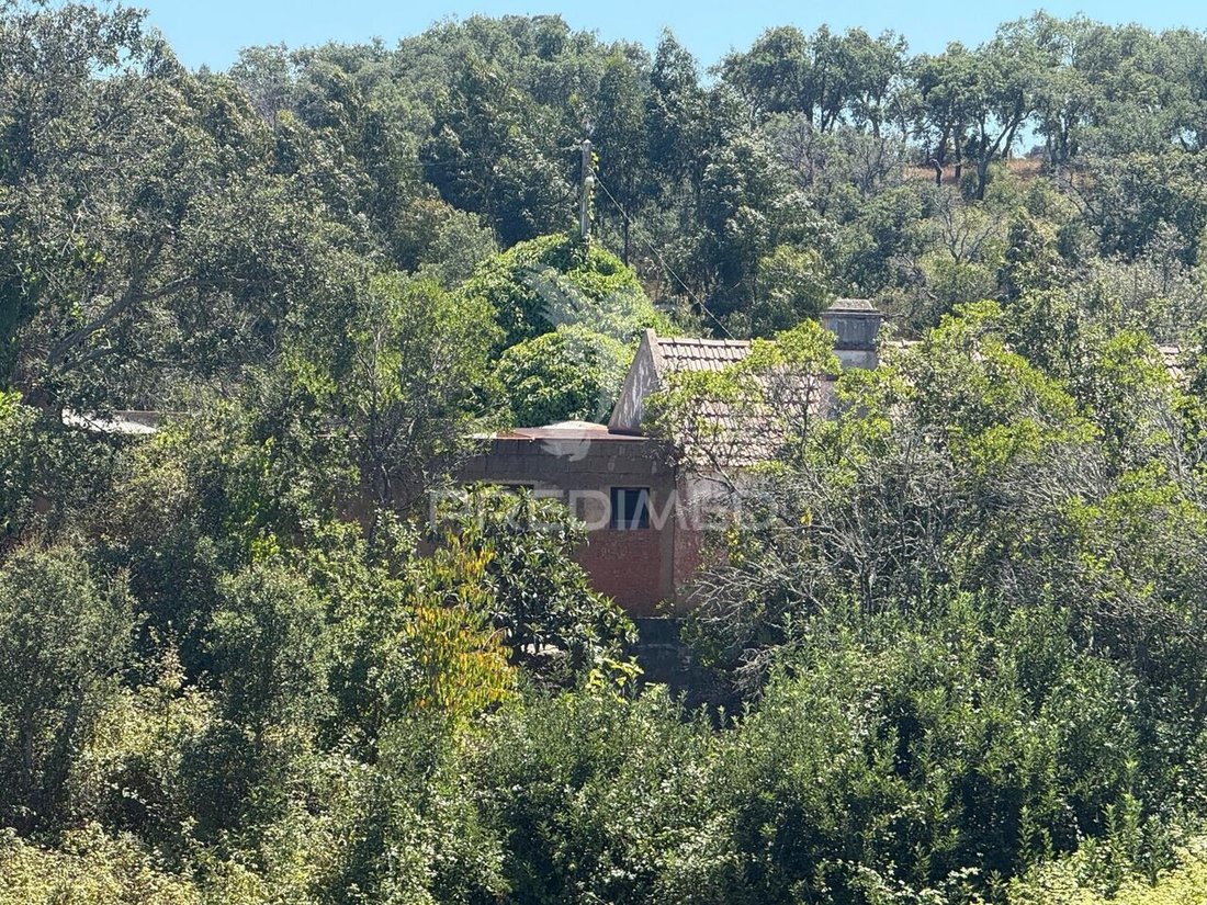 Farm Ranch in Sao Luis, Beja District, Portugal 5 - 18616060