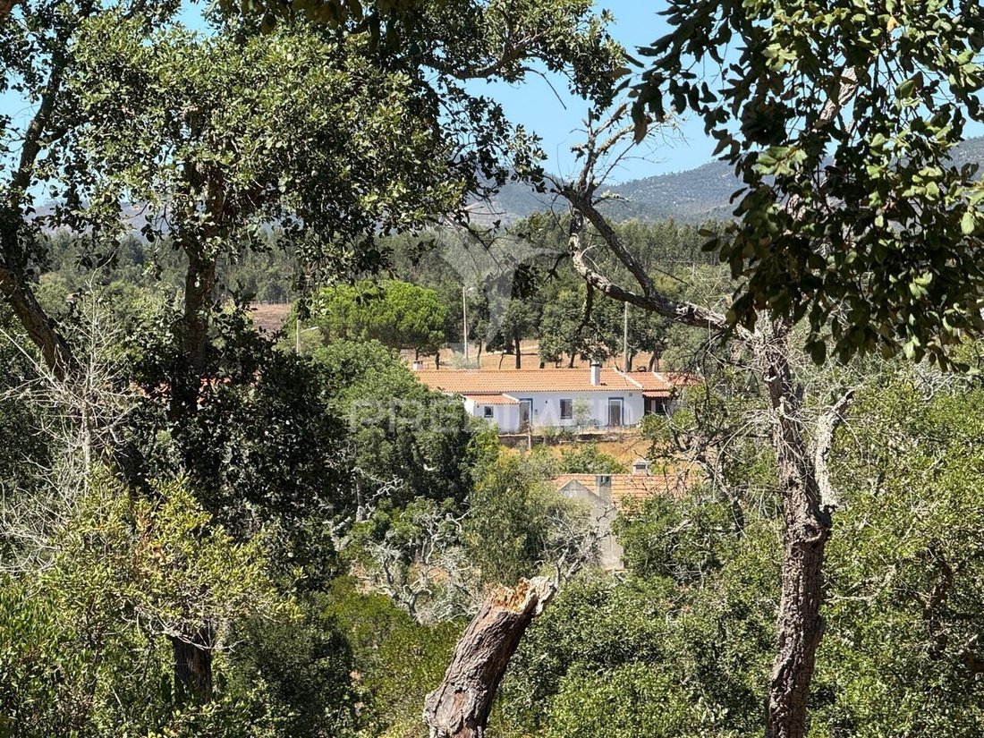 Farm Ranch in Sao Luis, Beja District, Portugal 1 - 18616060