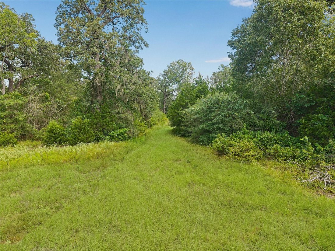 Bellville, Texas, United States 2 - 18615918