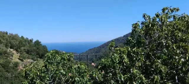 Terreno a Gorbio, Provenza-Alpi-Costa Azzurra, Francia 2 - 15768446