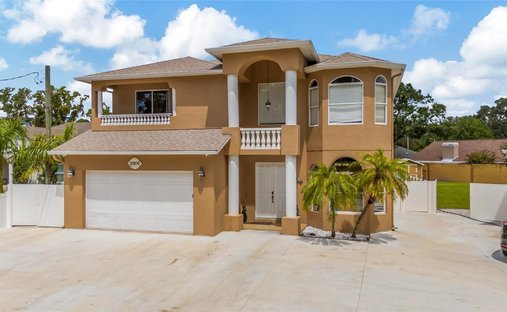 House in Tampa, Florida, United States 1