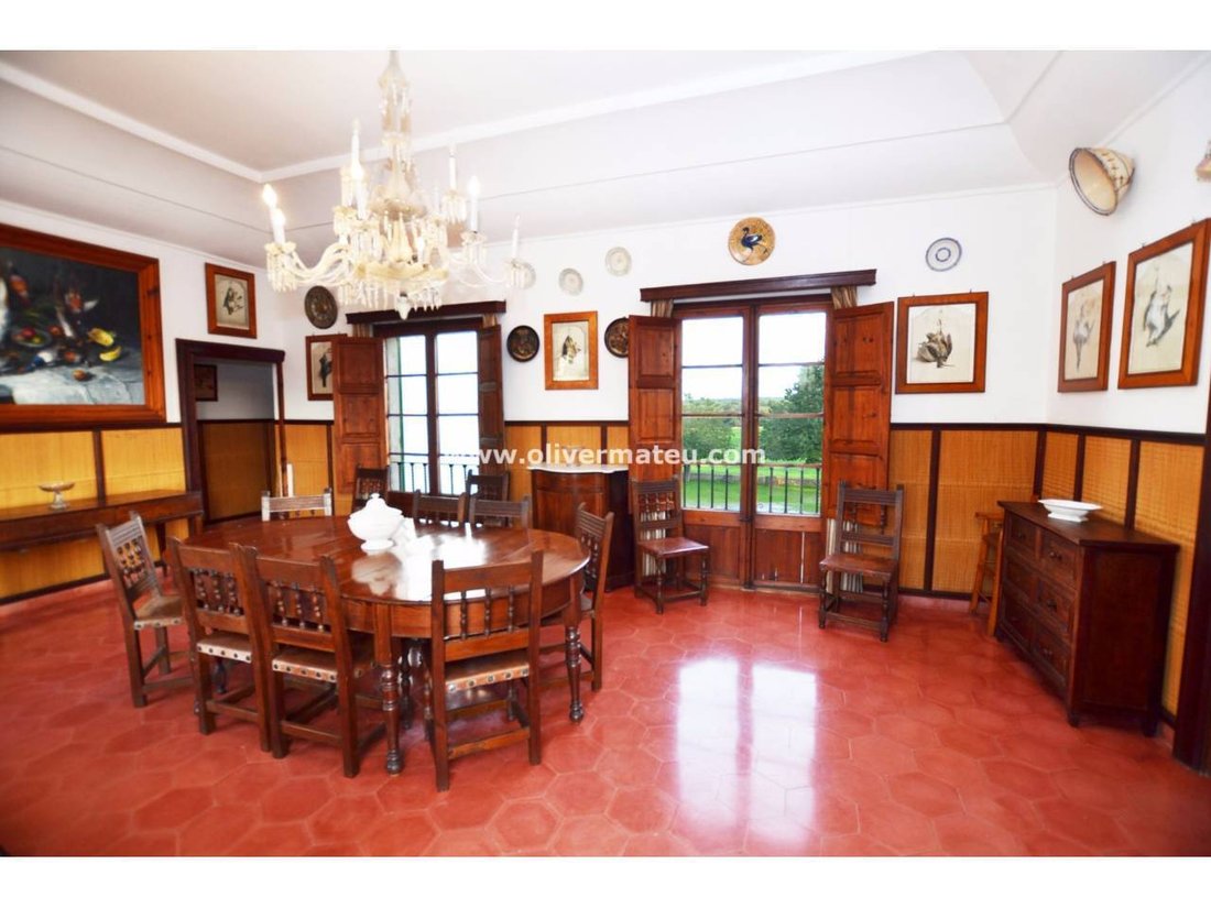 Finca in Maria de la Salut, Balearic Islands, Spain 3 - 18192777