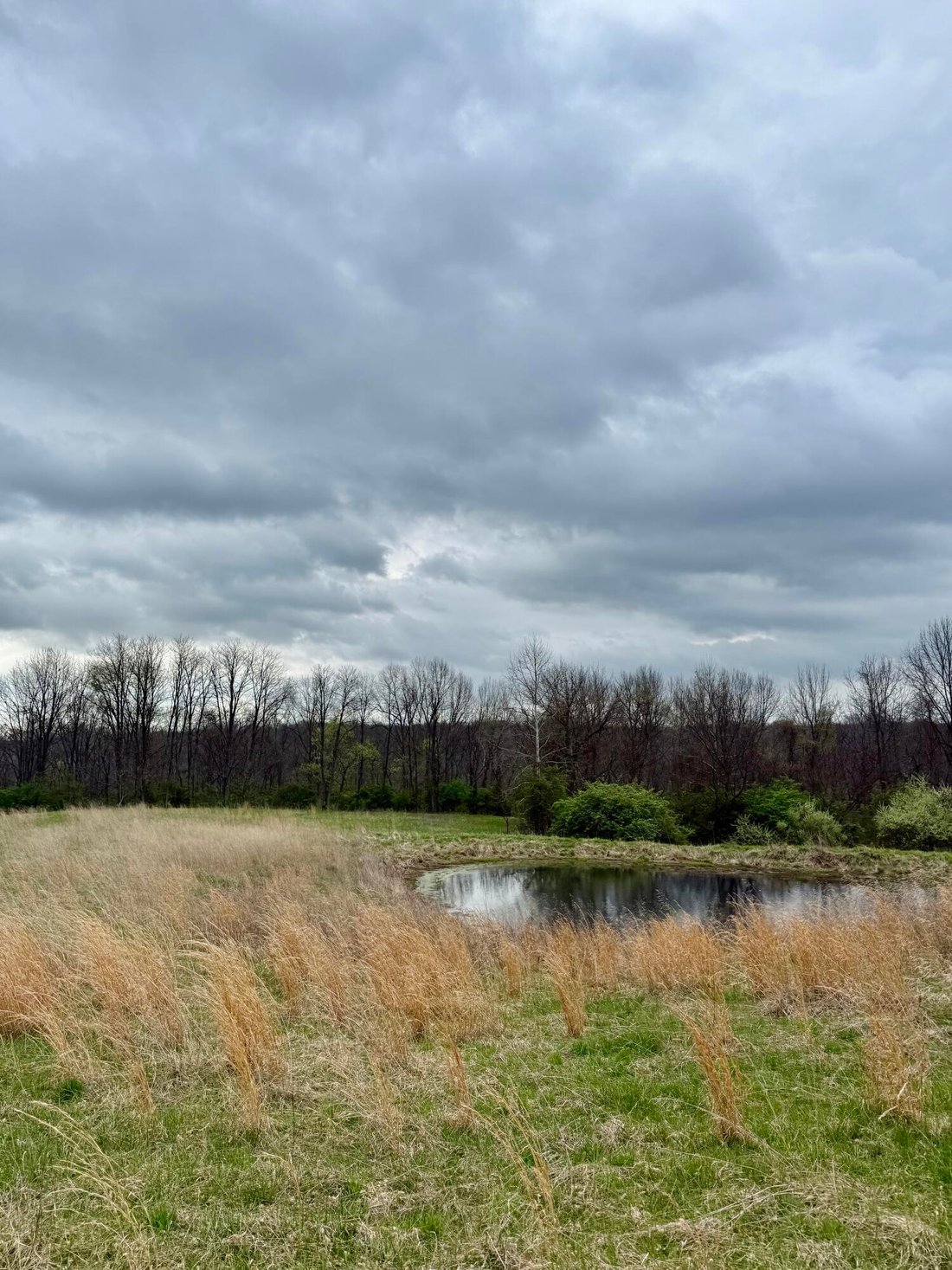 Land in Burlington, Kentucky, United States 1 - 18617148