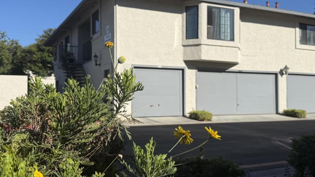Condo in San Jose, California, United States 5 - 18620590