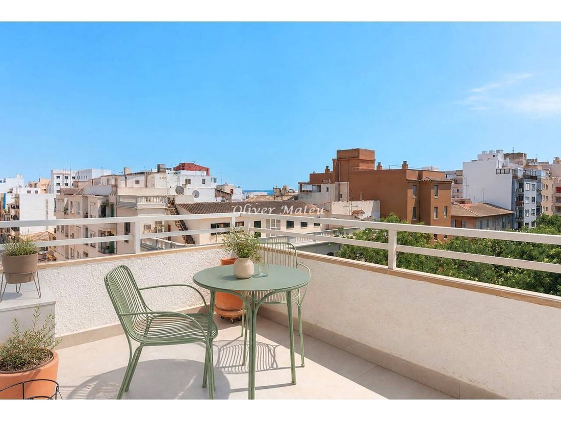 Apartment in Palma, Balearic Islands, Spain 2 - 18194240