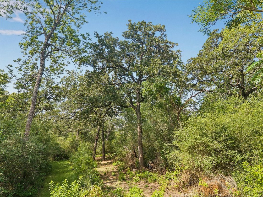 Bellville, Texas, United States 1 - 18615918