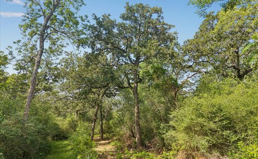 Bellville, Texas, United States 1