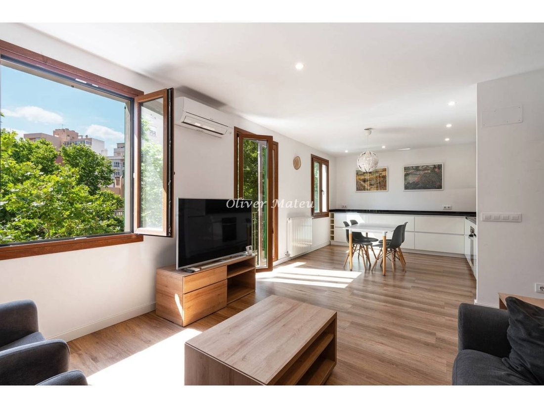 Apartment in Palma, Balearic Islands, Spain 1 - 18333743