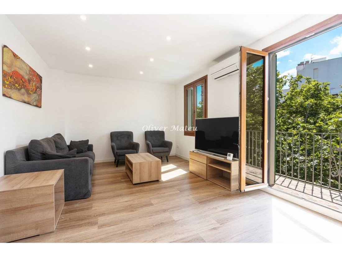 Apartment in Palma, Balearic Islands, Spain 3 - 18333743