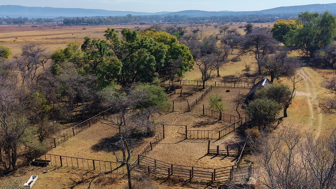Farm Ranch in Modimolle Local Municipality, Limpopo, South Africa 2 - 18617999