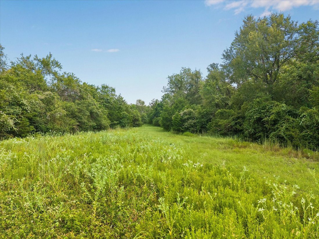Bellville, Texas, United States 1 - 18615905