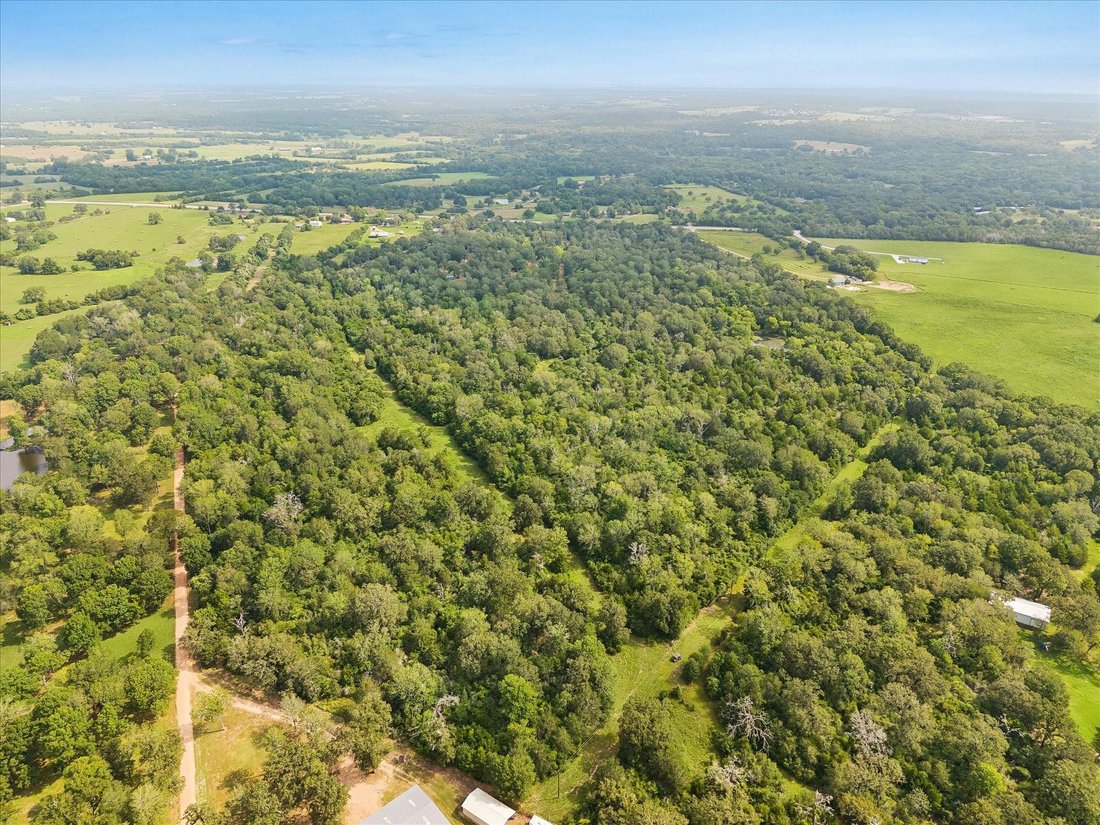 Bellville, Texas, United States 5 - 18615905