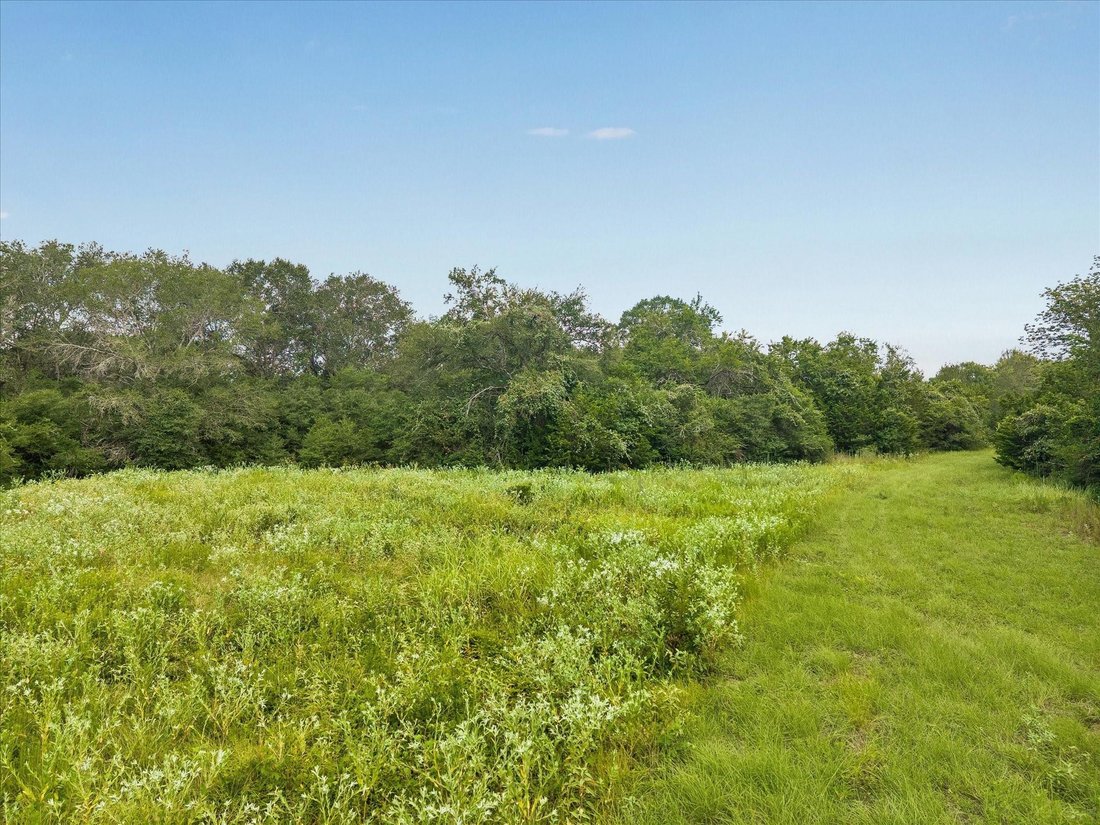 Bellville, Texas, United States 2 - 18615905