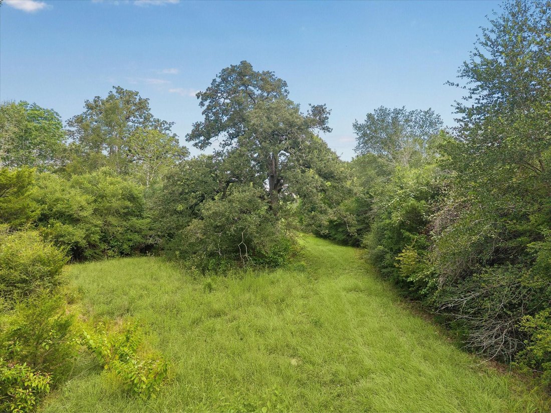 Bellville, Texas, United States 3 - 18615905