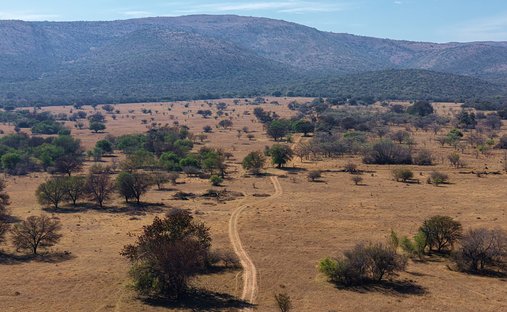 Farm Ranch in Settlers Pride, Limpopo, South Africa 1