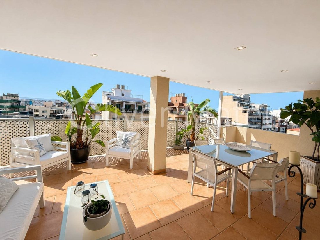 Apartment in Genoa, Palma, Balearic Islands 1 - 18196179