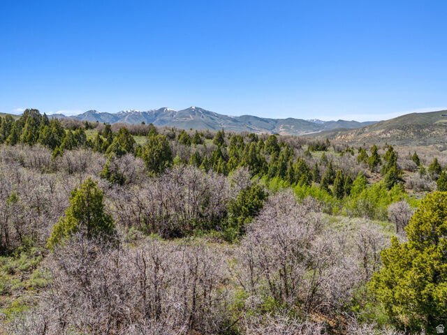 Land in Heber City, Utah, United States 5 - 18619793