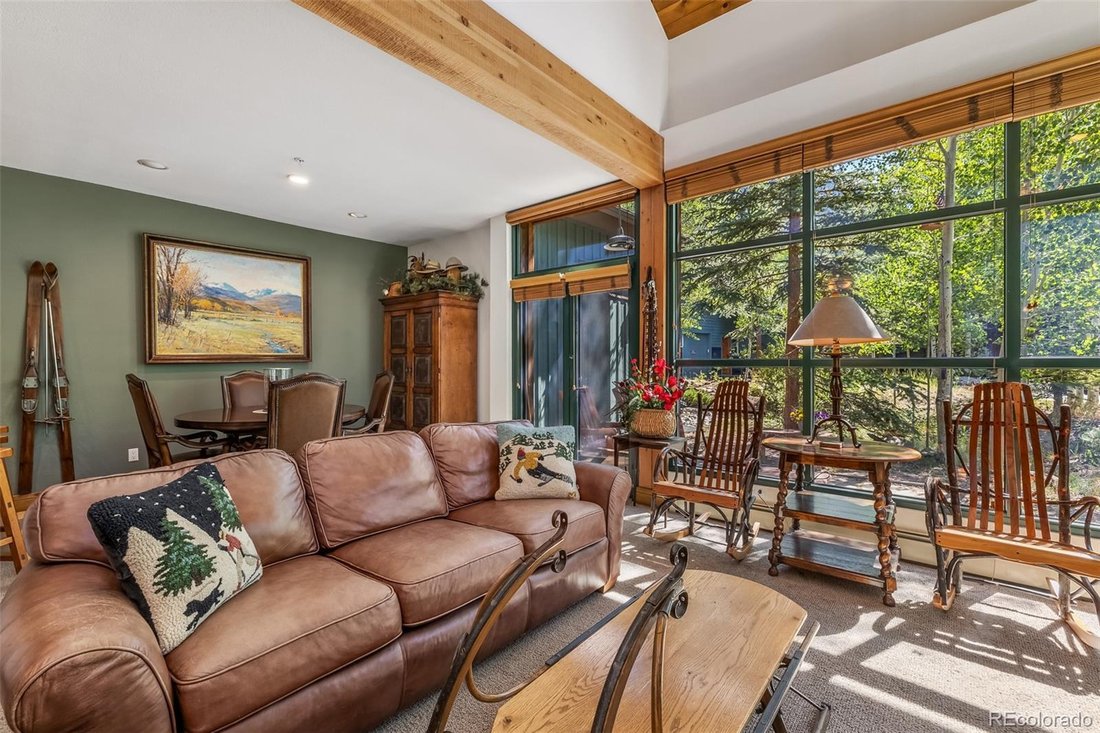 Townhouse in Dillon, Colorado, United States 5 - 18620163