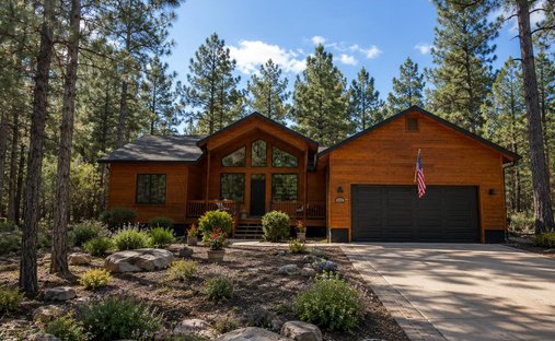 Pinetop-Lakeside, Arizona, United States 1