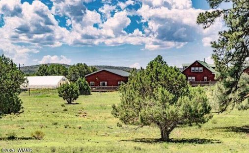 Farm Ranch in Show Low, Arizona, Vereinigte Staaten 1